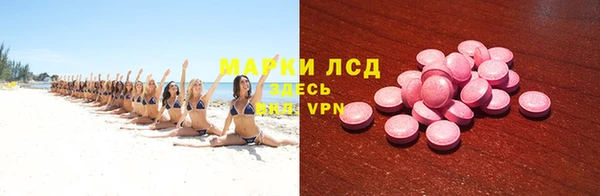 трава Аркадак