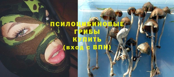 хмурый Армянск