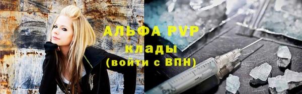 трава Аркадак