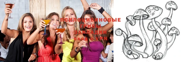 синтетический гашиш Арсеньев