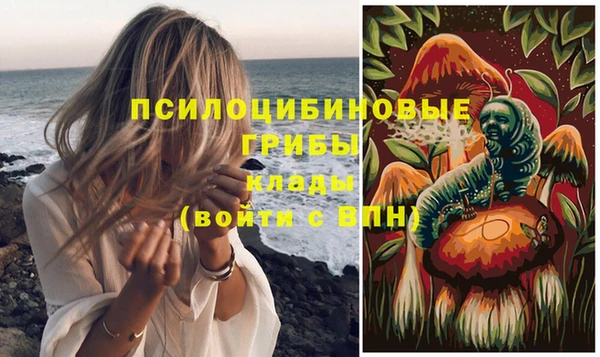 трава Аркадак