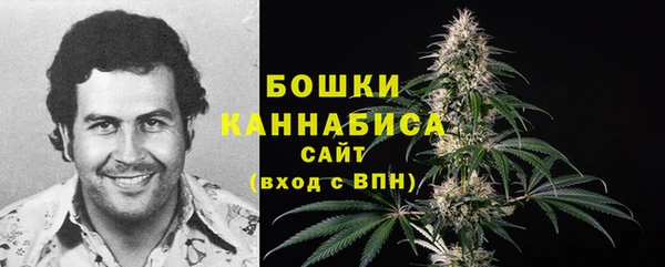 трава Аркадак